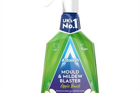 Home Bargains shoppers rush to buy £1.25 spray that clears mould ‘in 15 minutes’