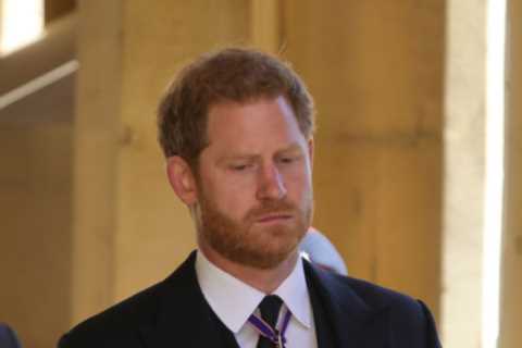 Is it vanity or stupidity that drives Prince Harry to continue his legal fight to have armed guards?