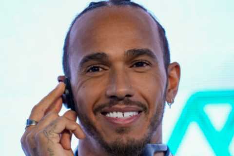 Lewis Hamilton WINS bitter row with neighbours over two giant trees in his garden at £18m townhouse