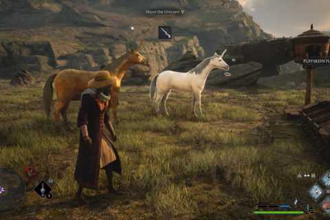 Hogwarts Legacy beast breeding guide: Catch beasts and collect resources