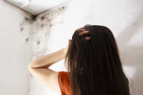 Compo claims for military families living in crumbling homes rocket 400% as Labour promise..