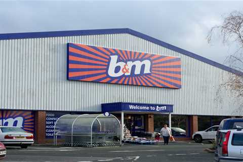 B&amp;M shoppers rush to buy ‘stunning’ item that scans for £10 instead of £70