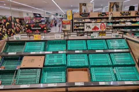 Supermarket veg shortage ‘to last WEEKS’, MP warns as stores battle to fix supply