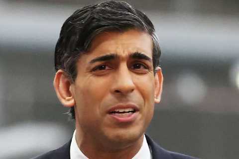 Taxes on firms MUST rise to stop economy tanking like it did under Truss, says Rishi Sunak
