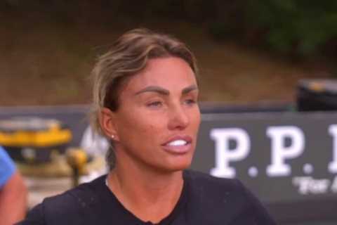 Katie Price fans swoon over her ‘handsome’ brother as rarely-seen sibling lends a hand at Mucky..