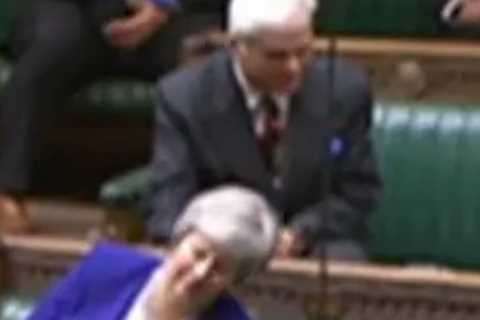 Theresa May mocks hardline Brexiteer by pretending to doze off in Commons debate