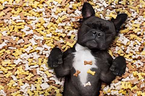 Three nutty treats your dog will love this National Peanut Butter Day