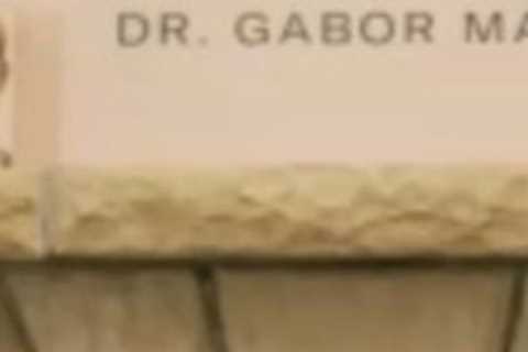 Who is Dr. Gabor Maté? Prince Harry interviewer and trauma expert