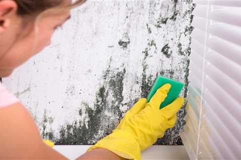 You’ve been using your heating all wrong – and it’s causing mould and damp