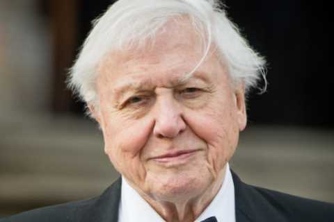 Legendary BBC star named greatest British TV presenter of all time