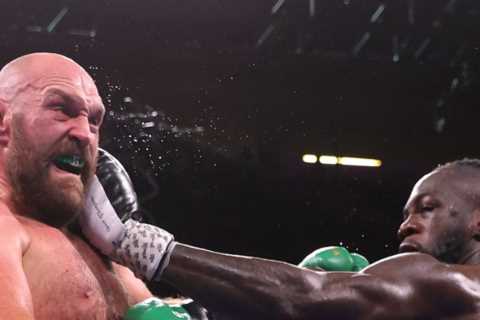 Tyson Fury wants ex-UFC champ Francis Ngannou to KO ‘piece of s*** ‘ Deontay Wilder and reveals..