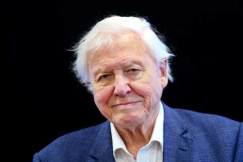 BBC ‘will NOT air episode of David Attenborough’s new series Wild Isles over fears of right-wing..
