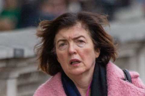 I grilled Sue Gray over Partygate to try to get information, says ex-Labour spin doctor Alastair..