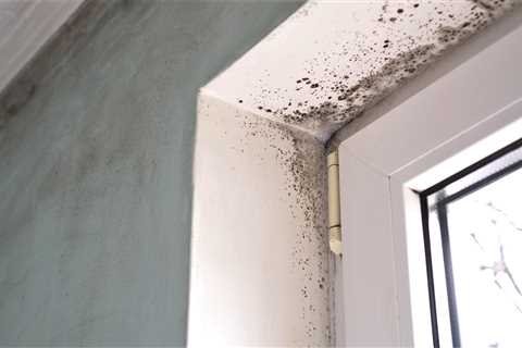 Shoppers rush to buy ‘bargain’ Aldi gadget that helps get rid of condensation and prevent mould
