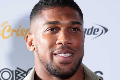 Anthony Joshua needed to be ‘helped up’ after being knocked out by David Price with a ‘big right..