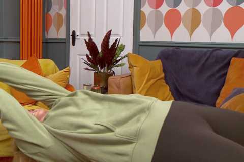Gogglebox fans fear for pregnant star Ellie Warner as she suffers on-air ordeal