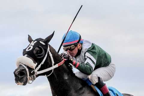 Top jockey rushed to hospital for emergency surgery after having finger bitten off by HORSE in..