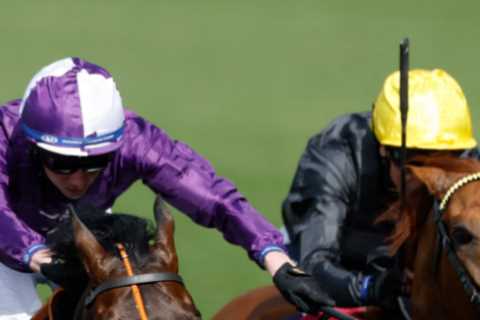 Aidan O’Brien says top stayer Kyprios to miss chunk of season but has positive news on Classic..