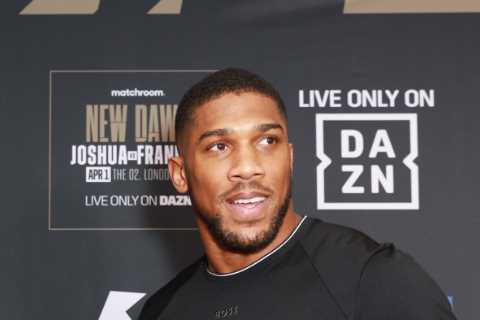 ‘I bring pain and I bring war’ – Anthony Joshua had brutal sparring session with Derek Chisora..