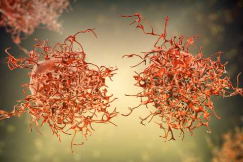 Major change to treatment of cervical cancer on NHS as new drug could extend hundreds of lives