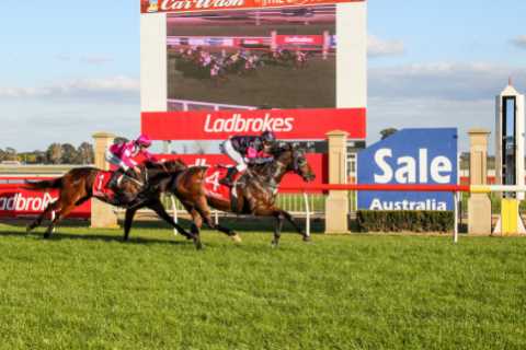 Racecourse handed huge fine after young jockey, 22, is killed in horror accident while riding at..