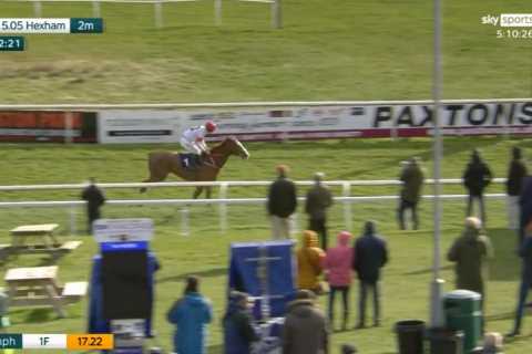 ‘I’ve genuinely never seen this before’ – Punters all say the same thing after one-of-a-kind horse..