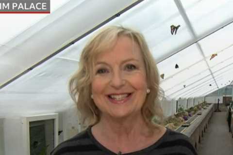 BBC Breakfast fans swoon over ‘fit and trim’ Carol Kirkwood as she ditches studio for weather report