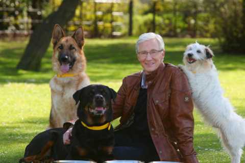 Paul O’Grady tried to convince the Queen to adopt corgi as late star’s sneaky tactics to help..