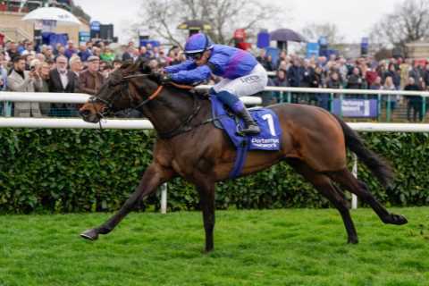 I landed one of the biggest racing bets EVER with £440,000 jackpot – but this dreaded rule stopped..