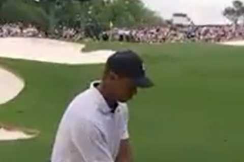 Fans fear for Tiger Woods and claim he’s in pain as very awkward shot leaves him hopping and..