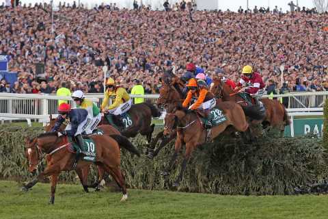 Grand National 2023 sweepstake kit: Download your FREE printable runners list for Saturday’s big..