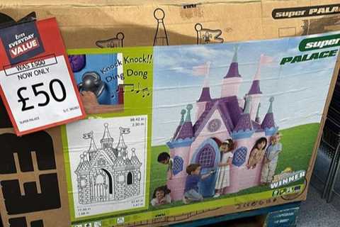 B&amp;M shoppers rush to buy summer must have for kids scanning at till for £50 instead of £500