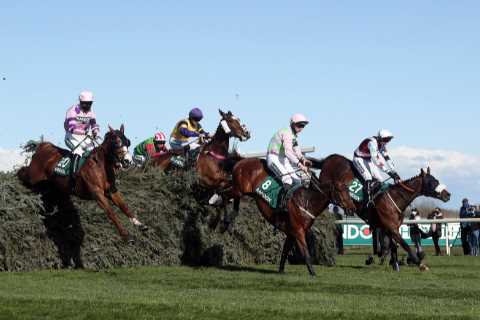 Animal rights protesters try to attack Grand National but shoot themselves in the foot in a weird..