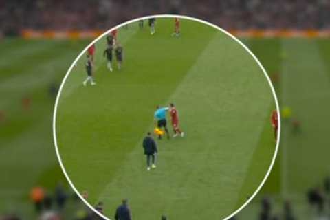 Liverpool vs Arsenal linesman Constantine Hatzidakis will NOT face FA punishment for alleged elbow..