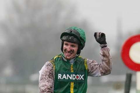 I bought a horse for just £1,200 on a used CAR website… now it’s won a fortune at Aintree’s Grand..