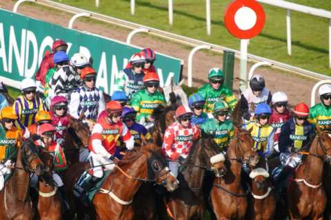 Grand National protesters blamed for horse’s sad death by furious trainer who says ‘they haven’t..