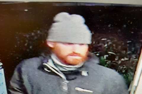 Cops hunting Prince Harry lookalike after designer handbag stolen from car