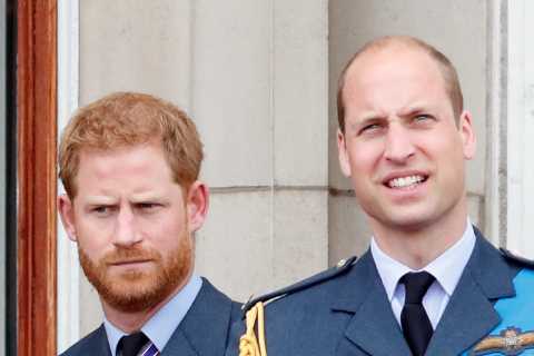 Feuding Prince Harry and William have NO plans for reunion during his visit for King Charles’..