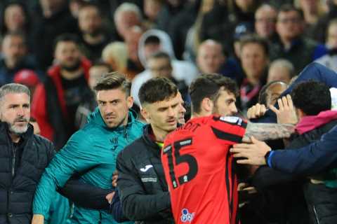Watch moment huge 30-man brawl erupts in crazy Swansea vs Preston clash as subbed ex-Liverpool star ..