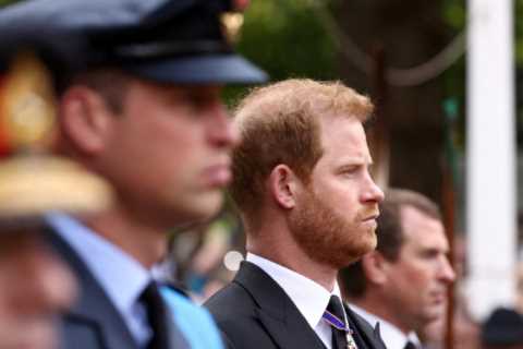 Will Prince William and Harry wear military uniforms to King Charles’ coronation?’