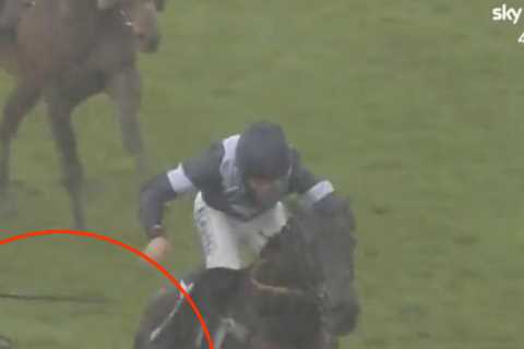 Punters joke this jockey’s ‘dastardly trick’ deserves an award after he accidentally sabotages..