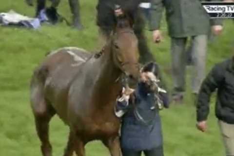 Loving groom who stole hearts with Cheltenham tears after Dysart Dynamo’s fall &amp; recovery opens ..