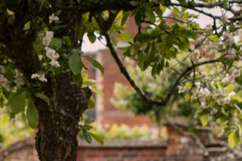 Bridgerton star inspired by rock legends in new series of steamy period drama