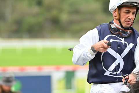 Jockey airlifted to hospital with ‘critical injuries’ after horror fall as meeting is abandoned