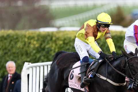 John Dance’s share of Bravemansgame sold to Bryan Drew with star stayer free to race at Punchestown