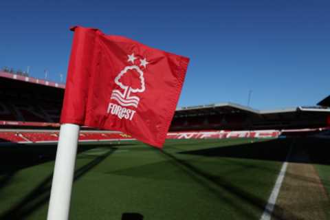 People are just realising what Nottingham Forest’s badge means and where it came from