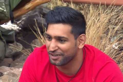 Fatima Whitbread sparks feud with I’m a Celeb campmate Amir Khan as she brands his £1m wedding a..