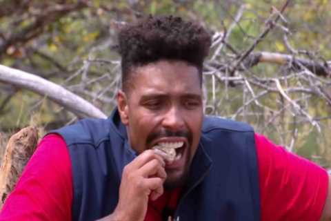 I was on I’m A Celebrity – here’s why show’s stomach churning eating trials should be ditched, says ..