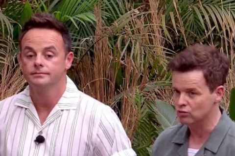 I’m A Celebrity South Africa spoiler: Nervous Ant and Dec reveal savage elimination twist tonight