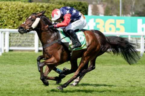 Kitty’s Light wins bet365 Gold Cup for Christian Williams a week after Scottish National as his..